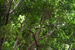 DSC_9054.JPG